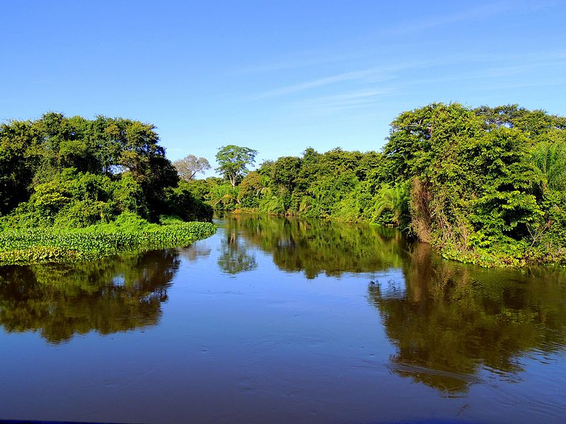 Por um Pantanal Criativo: uma nova agenda de desenvolvimento para o MS